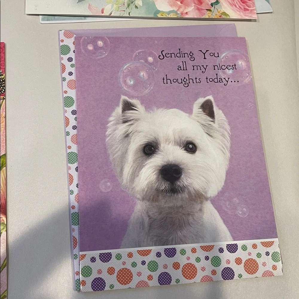 Set of 10 Assorted Birthday Greeting Cards – Floral, Cute & Scenic Designs – New